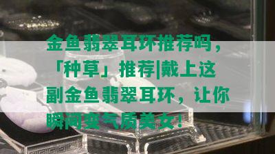 金鱼翡翠耳环推荐吗，「种草」推荐|戴上这副金鱼翡翠耳环，让你瞬间变气质美女！