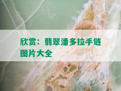 欣赏：翡翠潘多拉手链图片大全