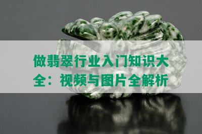 做翡翠行业入门知识大全：视频与图片全解析