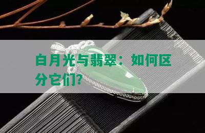 白月光与翡翠：如何区分它们？