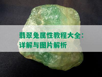 翡翠兔属性教程大全：详解与图片解析