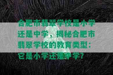 合肥市翡翠学校是小学还是中学，揭秘合肥市翡翠学校的教育类型：它是小学还是中学？