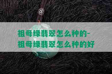 祖母绿翡翠怎么种的-祖母绿翡翠怎么种的好