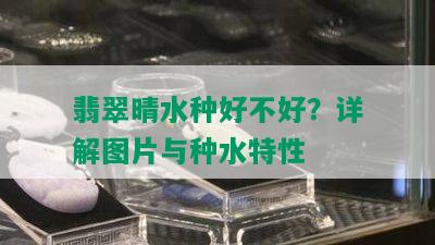 翡翠晴水种好不好？详解图片与种水特性