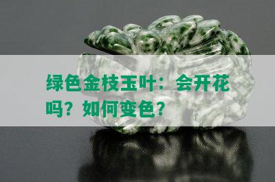 绿色金枝玉叶：会开花吗？如何变色？