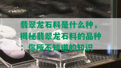 翡翠龙石料是什么种，揭秘翡翠龙石料的品种：你所不知道的知识