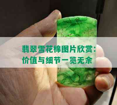 翡翠雪花棉图片欣赏：价值与细节一览无余