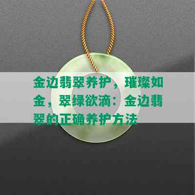 金边翡翠养护，璀璨如金，翠绿欲滴：金边翡翠的正确养护方法