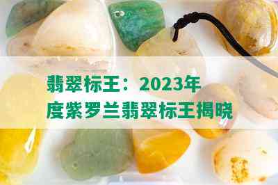 翡翠标王：2023年度紫罗兰翡翠标王揭晓