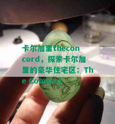 卡尔加里theconcord，探索卡尔加里的豪华住宅区：The Concord