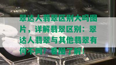 翠达人翡翠区别大吗图片，详解翡翠区别：翠达人翡翠与其他翡翠有何不同？看图了解！