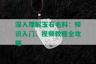 深入理解玉石毛料：知识入门、视频教程全攻略