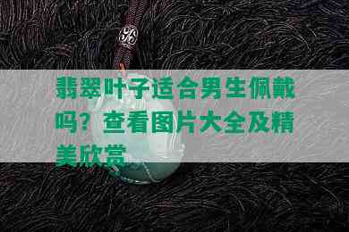 翡翠叶子适合男生佩戴吗？查看图片大全及精美欣赏