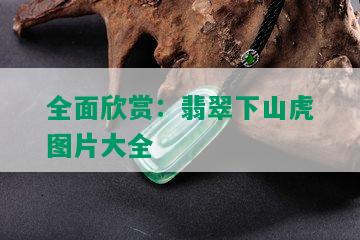 全面欣赏：翡翠下山虎图片大全