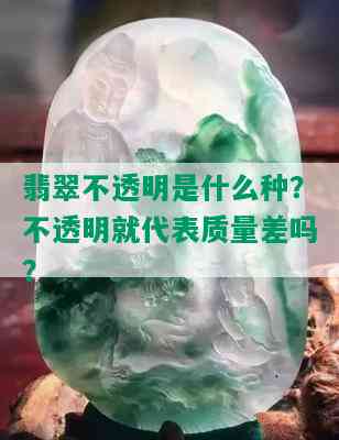 翡翠不透明是什么种？不透明就代表质量差吗？