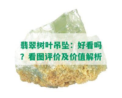 翡翠树叶吊坠：好看吗？看图评价及价值解析