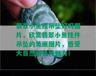 翡翠小鱼挂吊坠好吗图片，欣赏翡翠小鱼挂件吊坠的美丽图片，感受大自然的独特魅力！