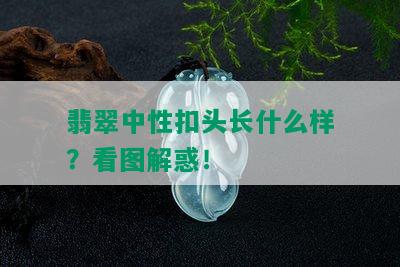 翡翠中性扣头长什么样？看图解惑！