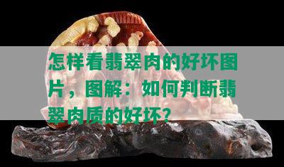 怎样看翡翠肉的好坏图片，图解：如何判断翡翠肉质的好坏？