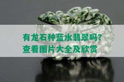 有龙石种蓝水翡翠吗？查看图片大全及欣赏