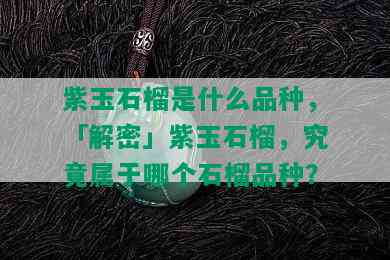 紫玉石榴是什么品种，「解密」紫玉石榴，究竟属于哪个石榴品种？