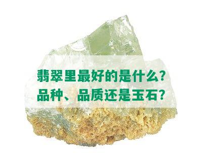 翡翠里更好的是什么？品种、品质还是玉石？