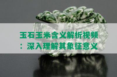 玉石玉米含义解析视频：深入理解其象征意义