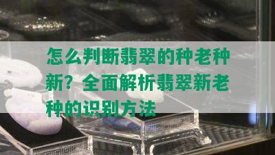 怎么判断翡翠的种老种新？全面解析翡翠新老种的识别方法