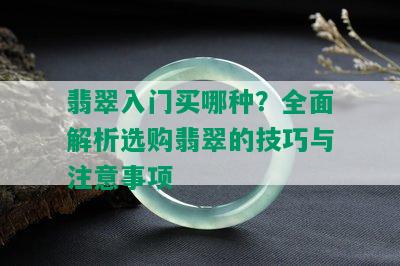 翡翠入门买哪种？全面解析选购翡翠的技巧与注意事项