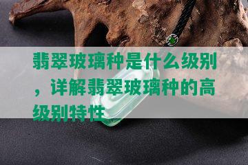 翡翠玻璃种是什么级别，详解翡翠玻璃种的高级别特性