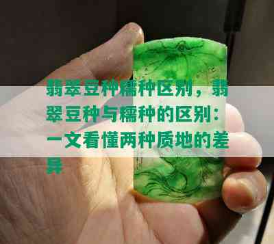 翡翠豆种糯种区别，翡翠豆种与糯种的区别：一文看懂两种质地的差异