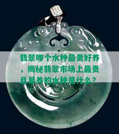 翡翠哪个水种最贵好养，揭秘翡翠市场上最贵且易养的水种是什么？