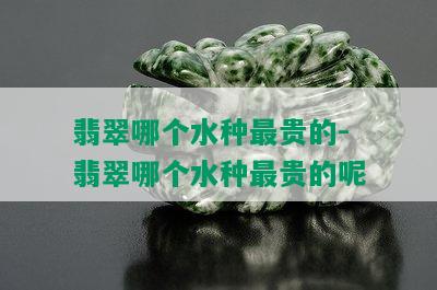 翡翠哪个水种最贵的-翡翠哪个水种最贵的呢