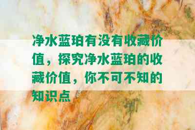 净水蓝珀有没有收藏价值，探究净水蓝珀的收藏价值，你不可不知的知识点