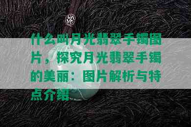 什么叫月光翡翠手镯图片，探究月光翡翠手镯的美丽：图片解析与特点介绍