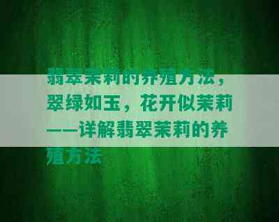 翡翠茉莉的养殖方法，翠绿如玉，花开似茉莉——详解翡翠茉莉的养殖方法