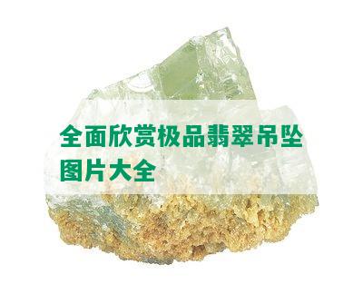 全面欣赏极品翡翠吊坠图片大全