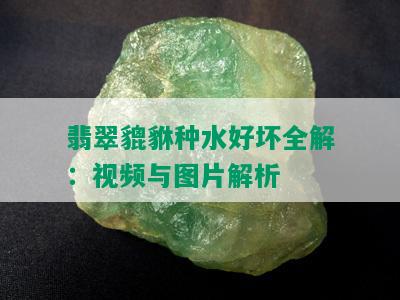 翡翠貔貅种水好坏全解：视频与图片解析