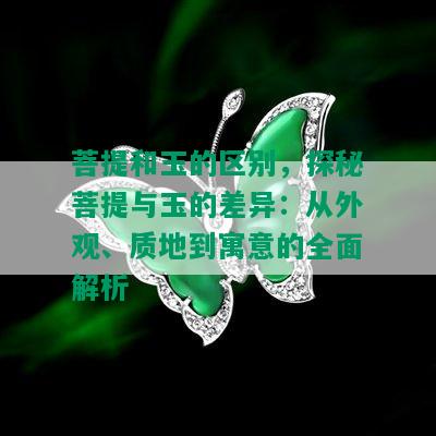 菩提和玉的区别，探秘菩提与玉的差异：从外观、质地到寓意的全面解析