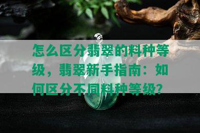 怎么区分翡翠的料种等级，翡翠新手指南：如何区分不同料种等级？