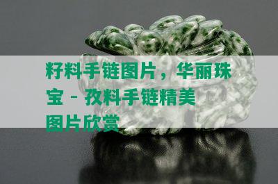 籽料手链图片，华丽珠宝 - 孜料手链精美图片欣赏