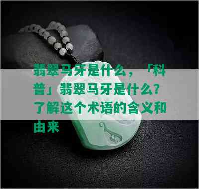 翡翠马牙是什么，「科普」翡翠马牙是什么？了解这个术语的含义和由来