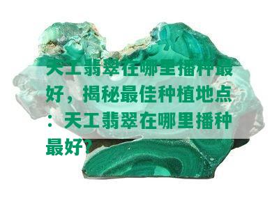 天工翡翠在哪里播种更好，揭秘更佳种植地点：天工翡翠在哪里播种更好？