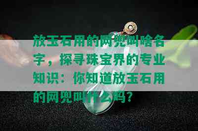 放玉石用的网兜叫啥名字，探寻珠宝界的专业知识：你知道放玉石用的网兜叫什么吗？