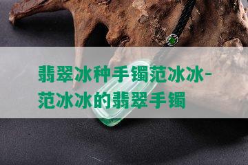 翡翠冰种手镯范冰冰-范冰冰的翡翠手镯