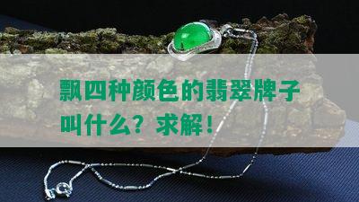 飘四种颜色的翡翠牌子叫什么？求解！