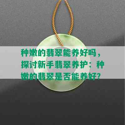 种嫩的翡翠能养好吗，探讨新手翡翠养护：种嫩的翡翠是否能养好？