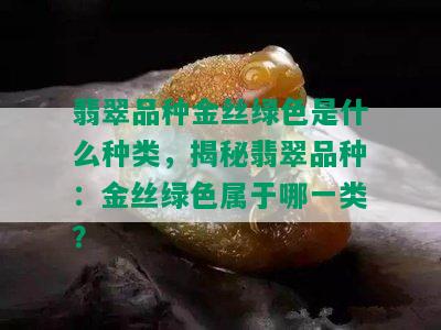 翡翠品种金丝绿色是什么种类，揭秘翡翠品种：金丝绿色属于哪一类？