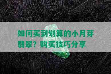 如何买到划算的小月芽翡翠？购买技巧分享