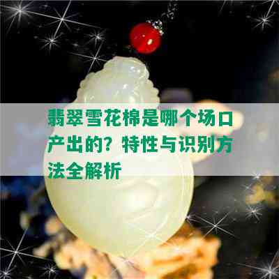 翡翠雪花棉是哪个场口产出的？特性与识别方法全解析